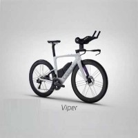 CEEPO 2026 Triathlon Frame Set, fully customizable